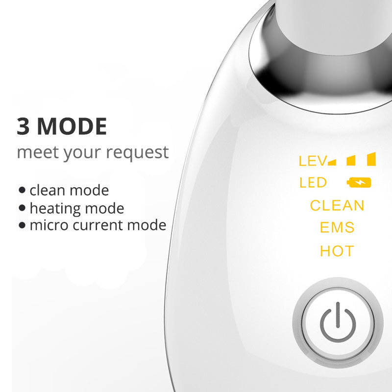 VIRAL Microcurrent Facial Massage